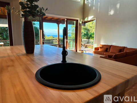 A modern kitchen with a wooden countertop and a black circular sink.