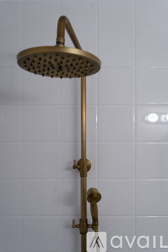 A brass shower head mounted on a wall.