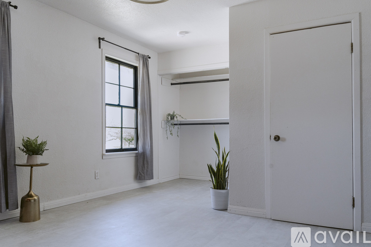 A room with a window, a potted plant, and a table with a plant on it.