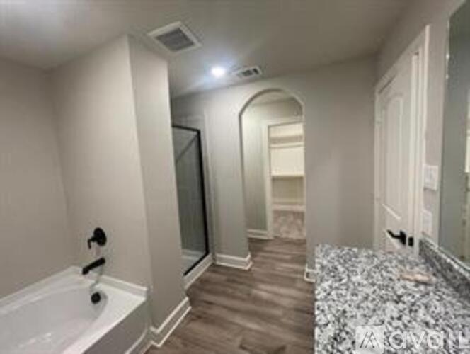 312 Lone Wolf Trl 4 Beds Single Family Home for Rent - Photo gallery 3