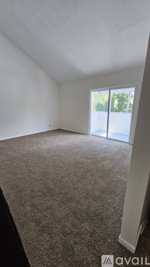 209 Cedar Street 2 Beds Condo for Rent - Photo gallery 5