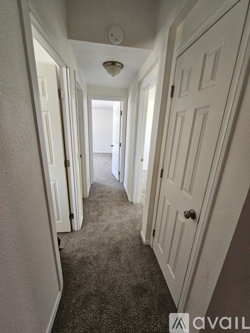 A hallway with white doors and a carpeted floor.