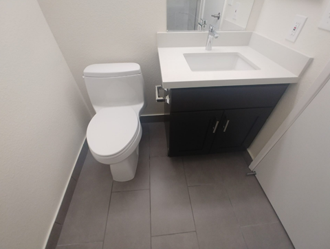 A white toilet sits next to a sink in a small bathroom.