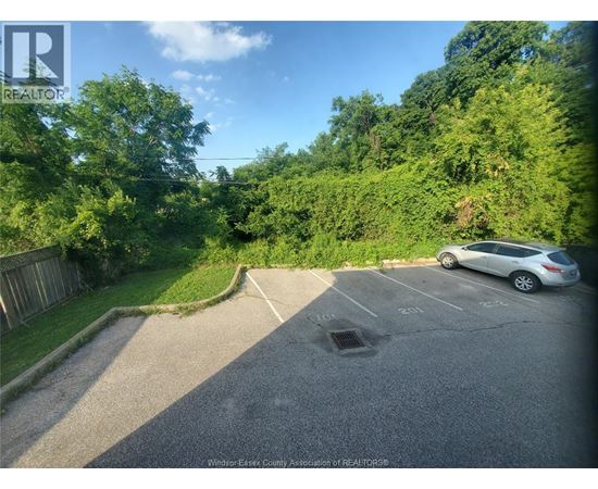 A car is parked in a parking lot with trees in the background.