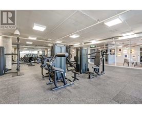 A gym with a variety of equipment including a squat rack, bench press, and a rowing machine.