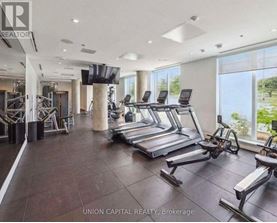 A gym with treadmills, weights, and a television is shown.