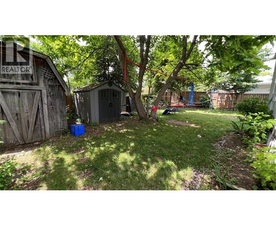 A backyard with a shed and a tree.