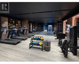 A gym with treadmills, weights, and exercise equipment.