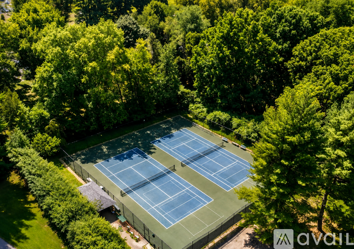 An aerial view of a tennis court surrounded by trees.