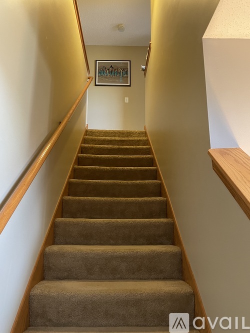 A staircase with a brown carpeted runner and wooden handrails.