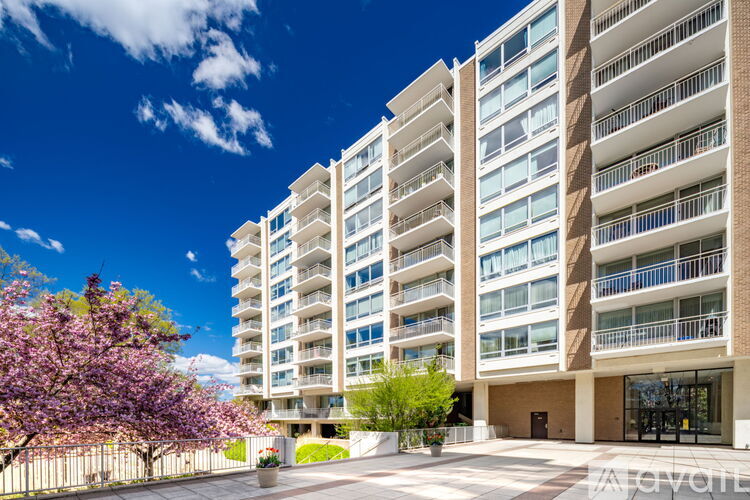 1425 4th St SW Studio Apartment for Rent - Photo gallery 3