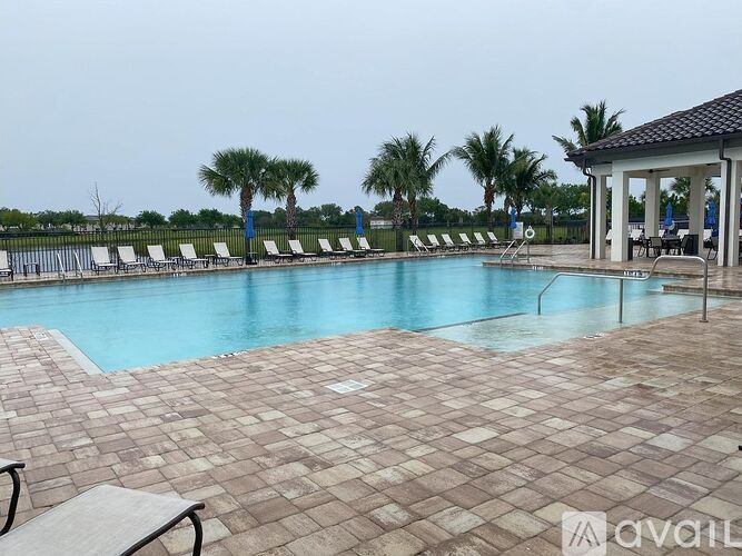 A pool surrounded by palm trees and lounge chairs.