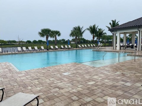 A pool surrounded by palm trees and lounge chairs.