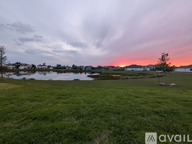 A grassy field with a lake and a sunset in the distance.
