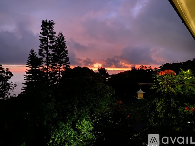 A view of a sunset from a window with trees and a lamp visible.