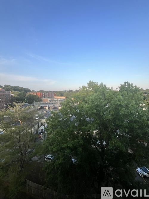 49 Melrose Street 1 Condo for Rent - Photo gallery 5