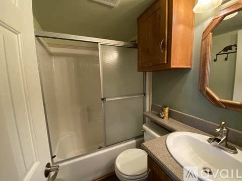 A bathroom with a toilet, sink, and shower.