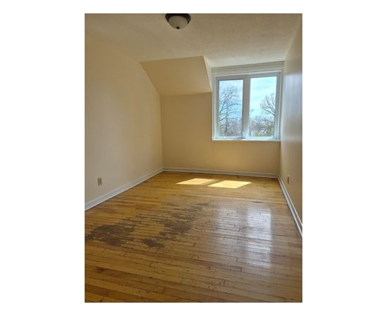 A room with wooden floors and a window showing trees outside.