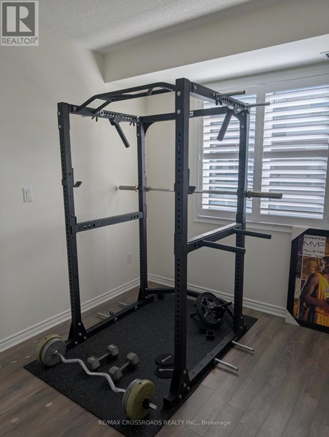 A black home gym setup with a squat rack, barbell and weight plates.