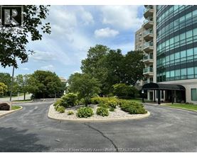 A parking lot with a building and trees in the background.