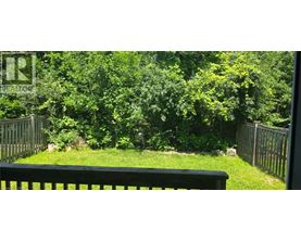 A backyard with a black fence and lush green trees.