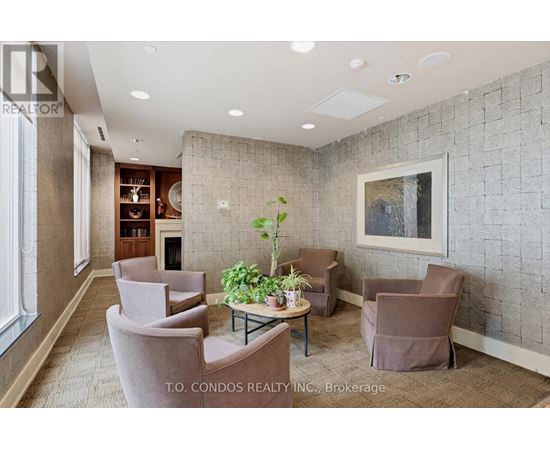 A living room with a grey wall and a potted plant on the table.
