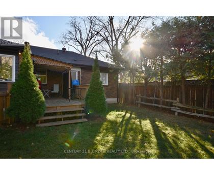 A sunny day in a backyard with a house, trees, and a wooden fence.