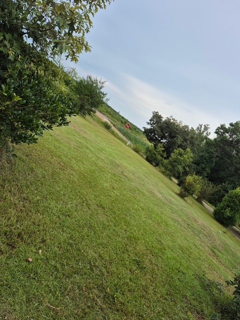 1546 Mississippi 27 3 Beds Apartment for Rent