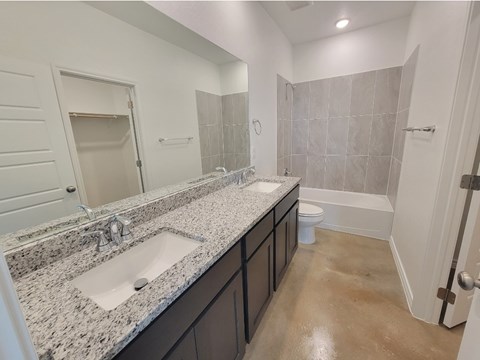 3807 American Elm Drive 3 Beds Apartment for Rent