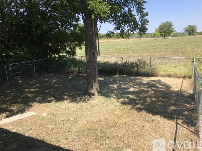 A tree stands in a fenced-in grassy area.