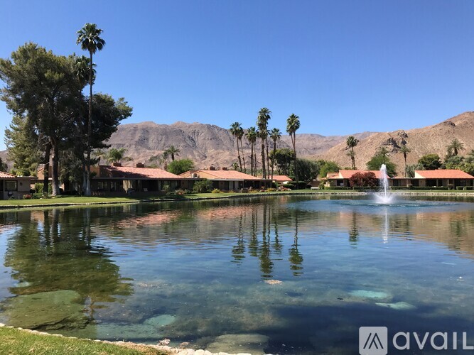 A fountain in the middle of a pond surrounded by palm trees.