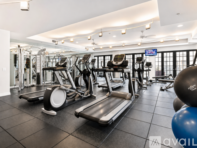 A gym with treadmills, weights, and exercise balls.