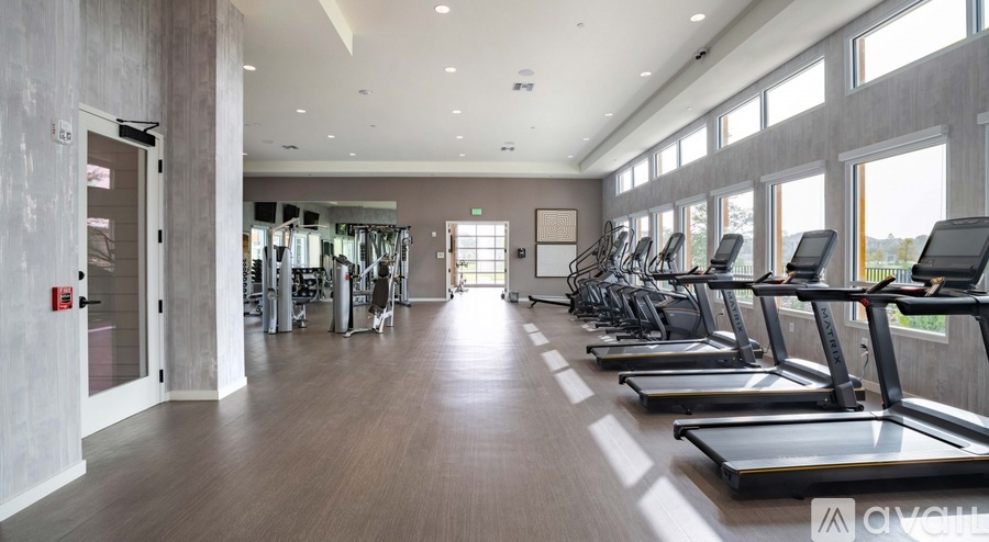 A gym with treadmills and exercise equipment.