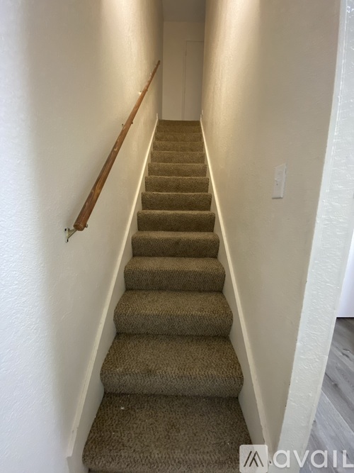 A staircase with a wooden handrail and beige carpeted steps.