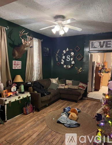 A living room with a green wall and a deer head mounted on it.