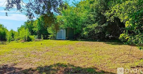 A field with a shed in the background.