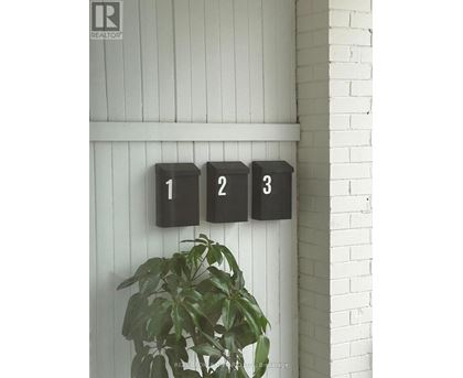 A plant is in front of a wall with three black boxes with the numbers 1, 2 and 3 on them.