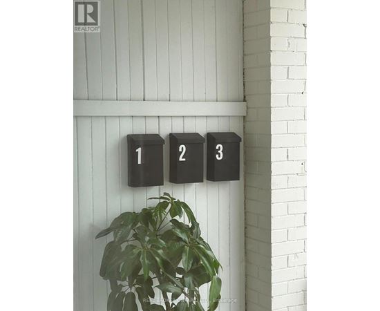 A plant is in front of a wall with three black boxes with the numbers 1, 2 and 3 on them.