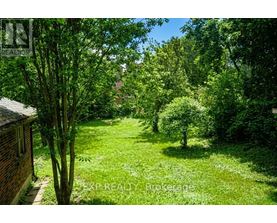A lush green garden with trees and a house in the background.