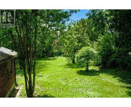 A lush green garden with trees and a house in the background.