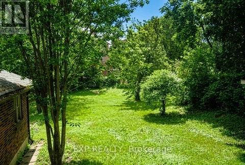 A lush green garden with trees and a house in the background.