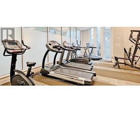 A gym with treadmills, exercise bikes and weights.