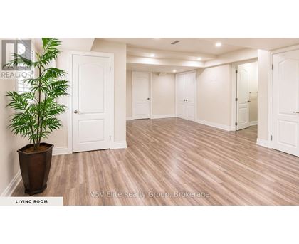 A living room with a plant in a pot and white doors.