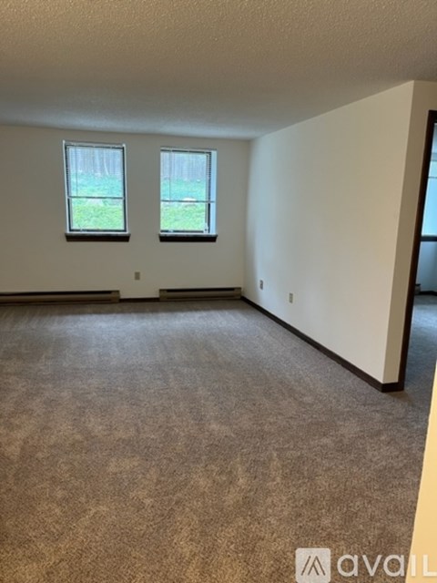 A room with carpeted floor and two windows.