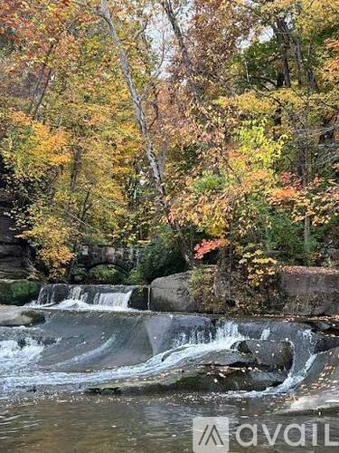 A waterfall surrounded by autumn trees.