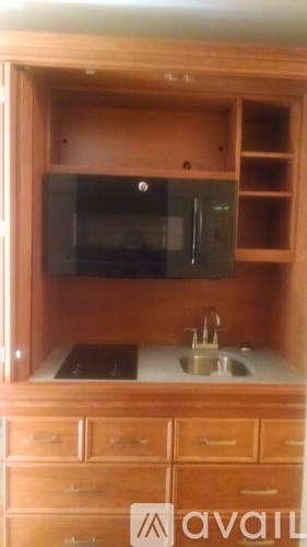 A kitchen with wooden cabinets and a microwave above the sink.
