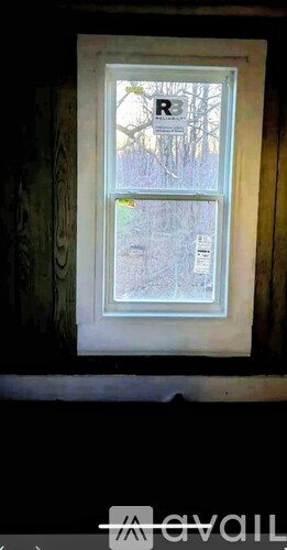 A window with a view of trees outside.