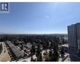 A sunny day in a residential area with a tall building on the right.