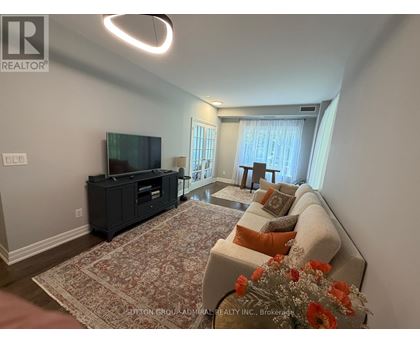 A living room with a couch, a television, and a rug.