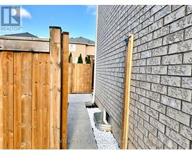 A wooden fence and a brick wall are visible in the image.